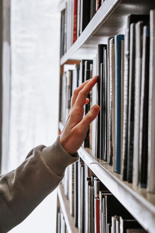 Person researching in a library